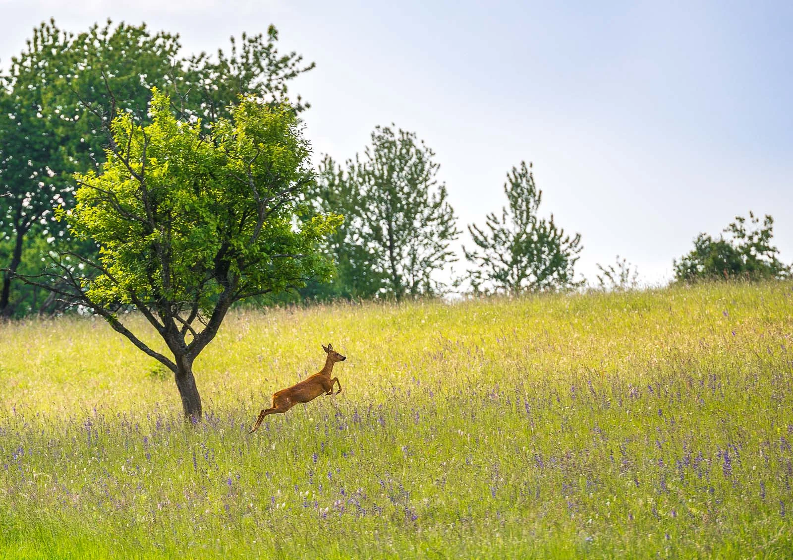Photographie du livre — 6/8